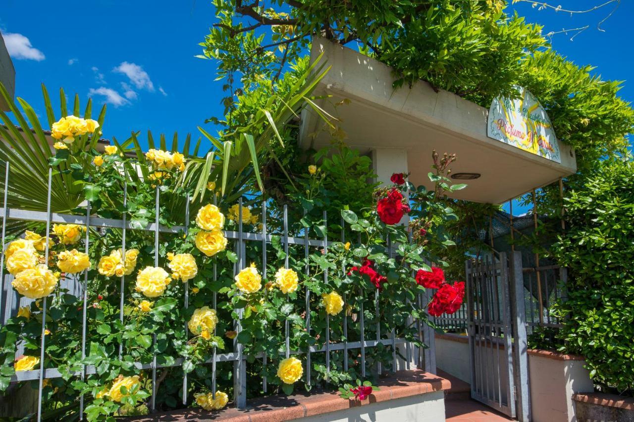 Bed & Breakfast Profumo D'Estate Agliana Esterno foto